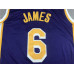 LeBron James Los Angeles Lakers 2021-22 Statement Jersey with 75th Anniversary Logos