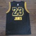 LeBron James 2020 Black Mamba Los Angeles Lakers Jersey with Gigi Bryant Heart Patch