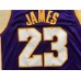 LeBron James Los Angeles Lakers 2017-18 Purple Jersey