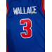 Ben Wallace Detroit Pistons 2003-04 Blue Jersey