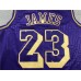 LeBron James 2020 Year Of The Rat Special Edition Jersey