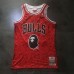 BAPE X Mitchell & Ness Special Edition Chicago Bulls Jersey - Super AAA Version