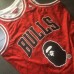 BAPE X Mitchell & Ness Special Edition Chicago Bulls Jersey - Super AAA Version