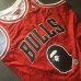 BAPE X Mitchell & Ness Special Edition Chicago Bulls Jersey - Super AAA Version