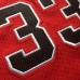 Scottie Pippen Chicago Bulls 97-98 Red Mitchell and Ness Special Edition Jersey - Super AAA