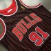 Dennis Rodman Mitchell & Ness Chicago Bulls 1996-97 Pinstripe Championship Special Edition Jersey - Super AAA