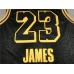 LeBron James 2020 Black Mamba Los Angeles Lakers Jersey with Gigi Bryant Heart Patch