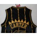 Vince Carter Toronto Raptors Black & Gold Special Edition